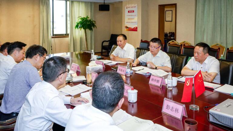 亿万先生mr官方网站集团党委召开对照党章党规找差距专题会议