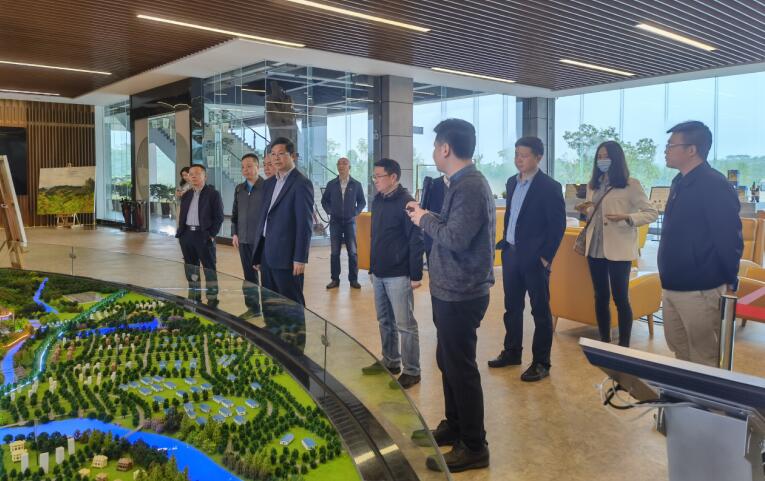 20214301157445370 广西旅发集团党委书记、董事长容贤标考察集团文旅项目