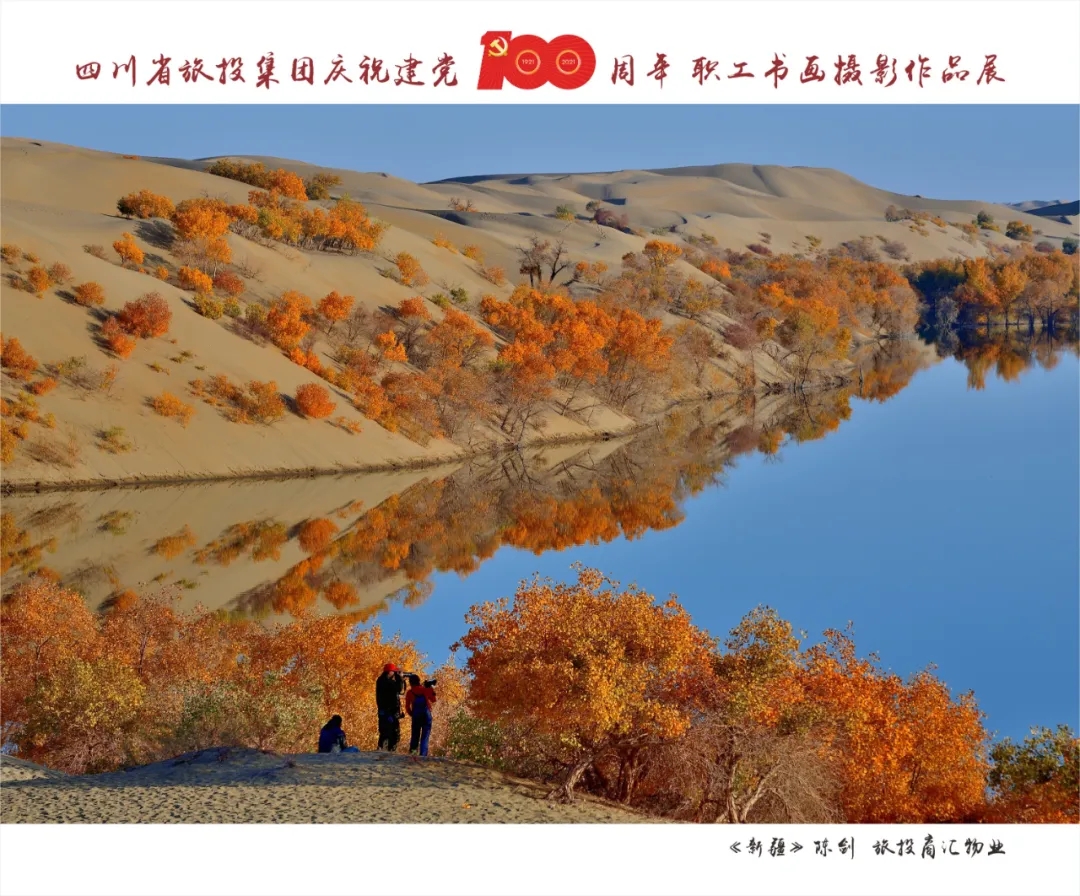 13.webp 13.webp