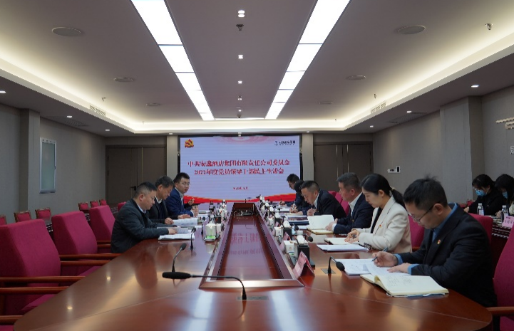 f03541e2-e9b6-469b-b38b-e88d95e15767 亿万先生mr官方网站集团党委书记、董事长任丁出席安逸酒店集团2022年度党员领导干部民主生活会