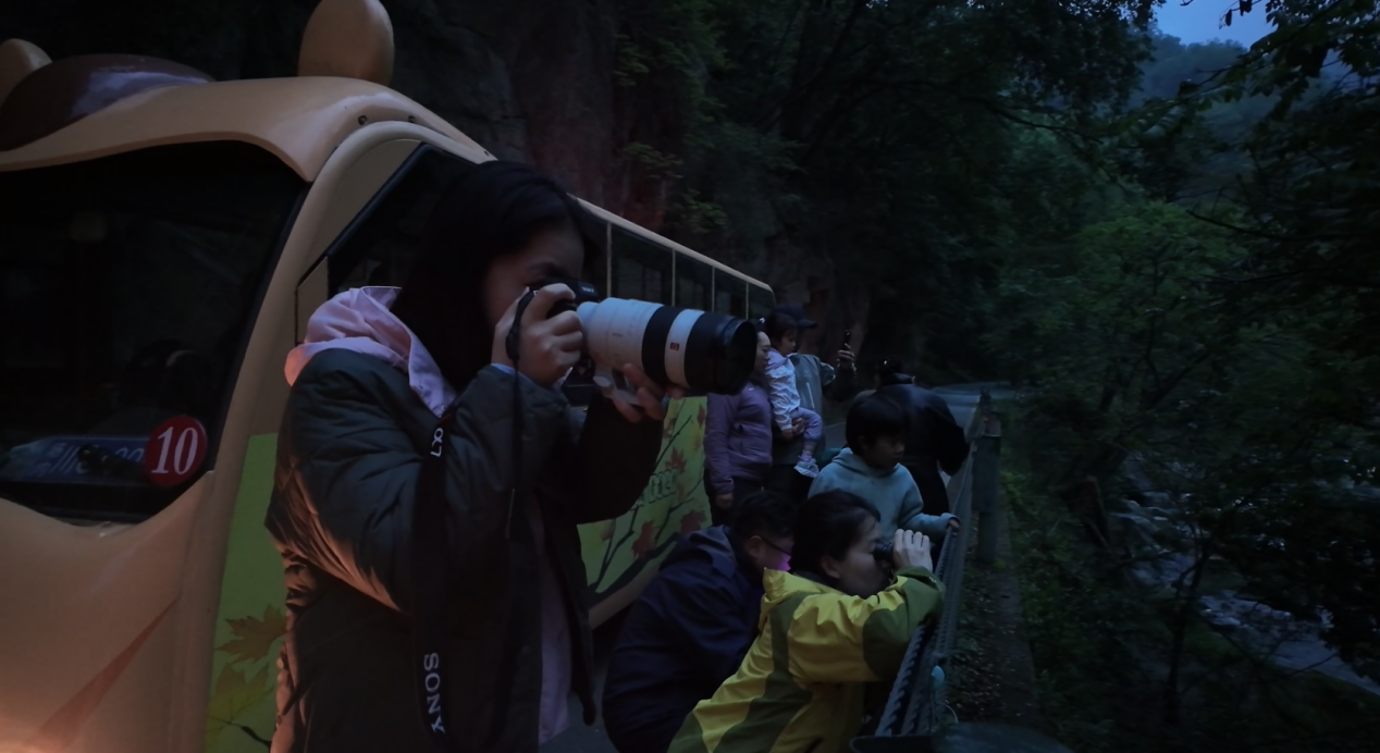 8eb33a81-1626-4460-bb30-6295fe5dba4c