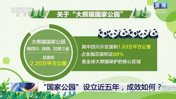 媒体聚焦 | 荣登央视《新闻 1+1》！青川唐家河向全国展示中国生物多样性；ご鹁